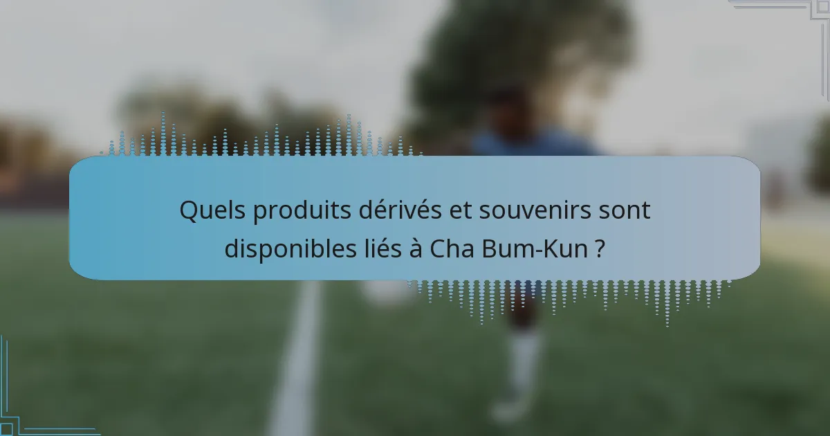 Quels produits dérivés et souvenirs sont disponibles liés à Cha Bum-Kun ?